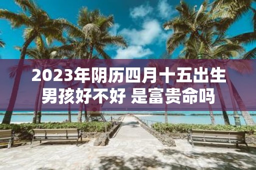 2025年阴历四月十五出生男孩好不好 是富贵命吗