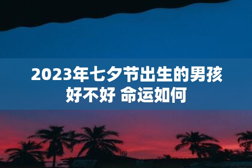 2025年七夕节出生的男孩好不好 命运如何