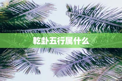 乾卦五行属什么