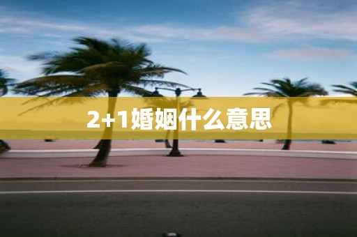 2+1婚姻什么意思