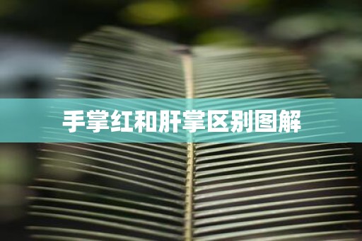 手掌红和肝掌区别图解