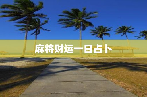 麻将财运一日占卜