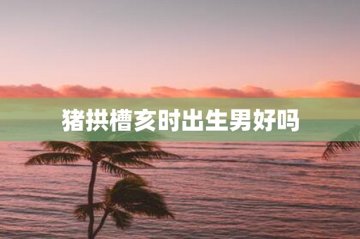 猪拱槽亥时出生男好吗