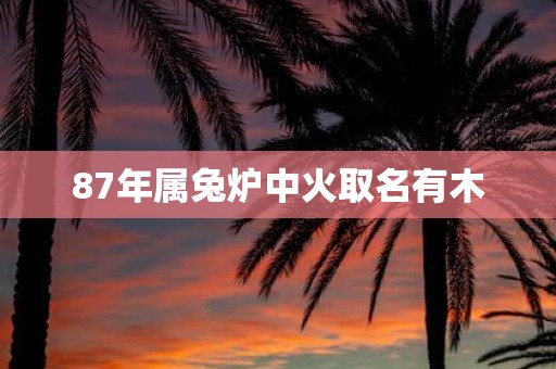 87年属兔炉中火取名有木
