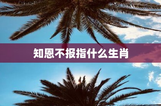 知恩不报指什么生肖
