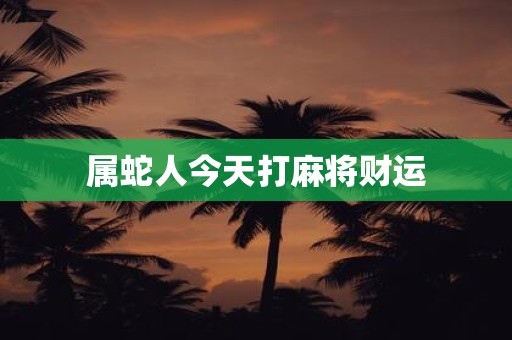 属蛇人今天打麻将财运
