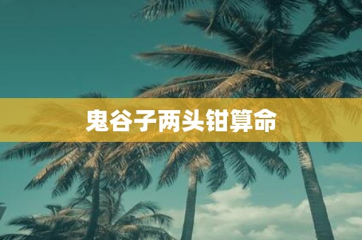 鬼谷子两头钳算命