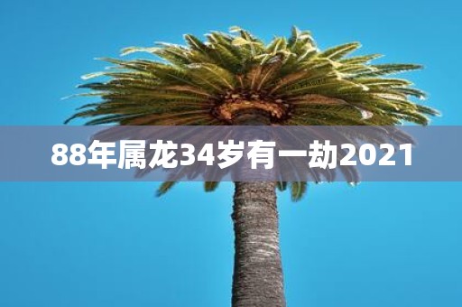 88年属龙34岁有一劫2021