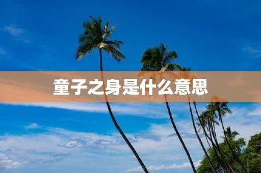 童子之身是什么意思
