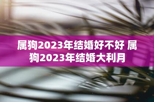 属狗2025年结婚好不好 属狗2025年结婚大利月