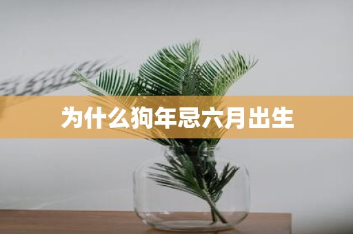 为什么狗年忌六月出生