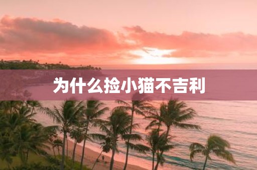 为什么捡小猫不吉利