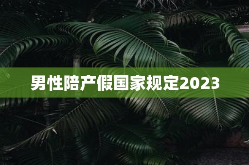 男性陪产假国家规定2025