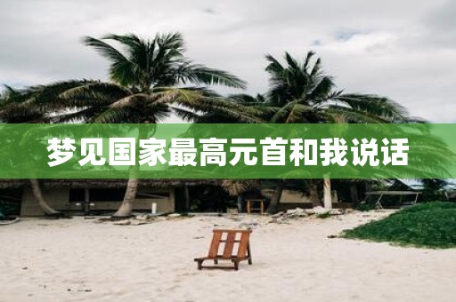 梦见国家最高元首和我说话