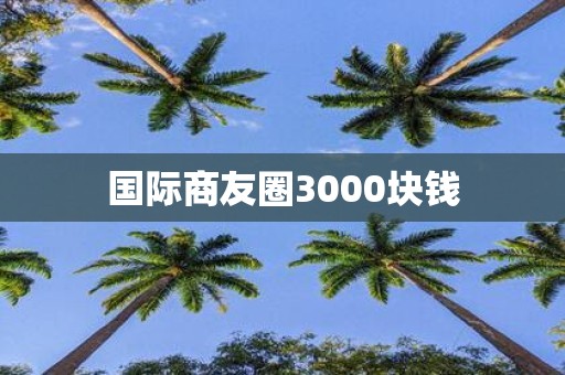 国际商友圈3000块钱