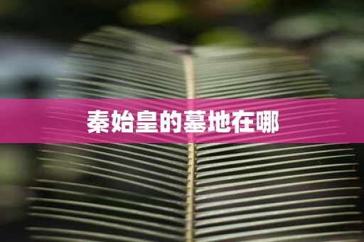 秦始皇的墓地在哪