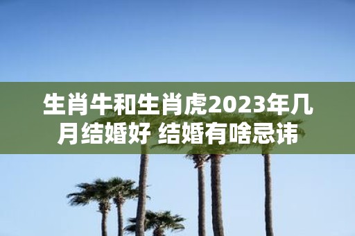 生肖牛和生肖虎2025年几月结婚好 结婚有啥忌讳