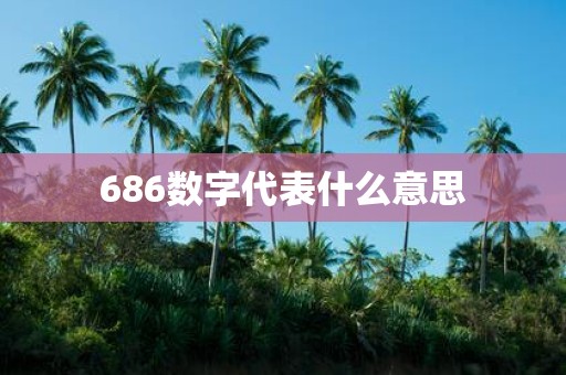 686数字代表什么意思