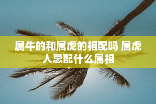 属牛的和属虎的相配吗 属虎人忌配什么属相