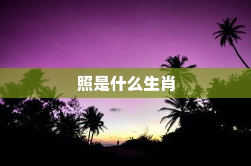 照是什么生肖