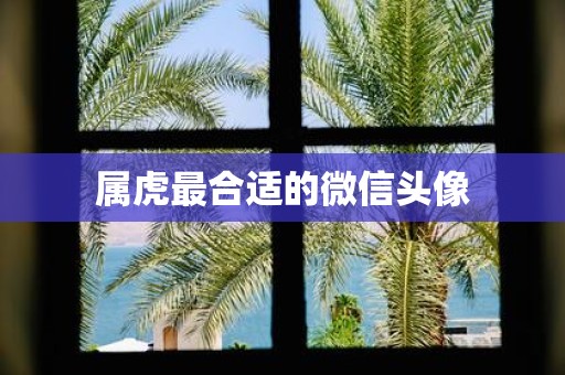 属虎最合适的微信头像