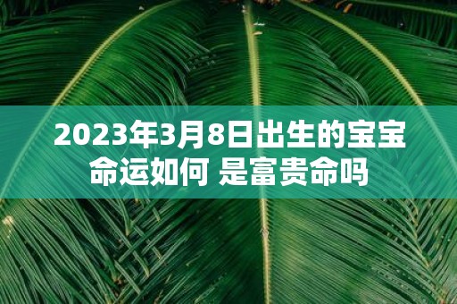 2025年3月8日出生的宝宝命运如何 是富贵命吗