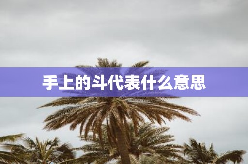手上的斗代表什么意思