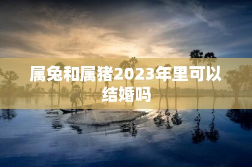 属兔和属猪2025年里可以结婚吗