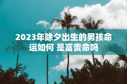 2025年除夕出生的男孩命运如何 是富贵命吗