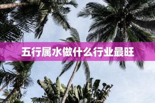 五行属水做什么行业最旺