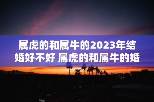 属虎的和属牛的2025年结婚好不好 属虎的和属牛的婚姻合适吗