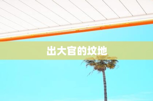 出大官的坟地