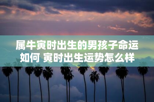 属牛寅时出生的男孩子命运如何 寅时出生运势怎么样