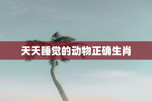 天天睡觉的动物正确生肖