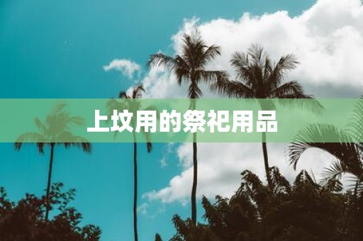 上坟用的祭祀用品