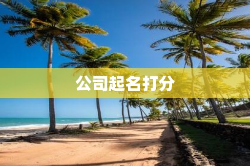 公司起名打分