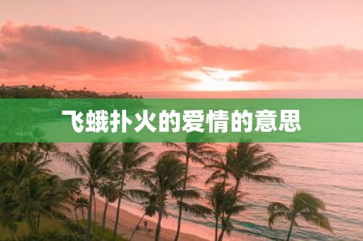 飞蛾扑火的爱情的意思