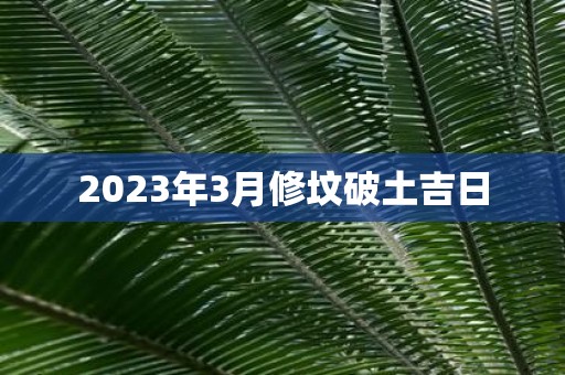 2025年3月修坟破土吉日
