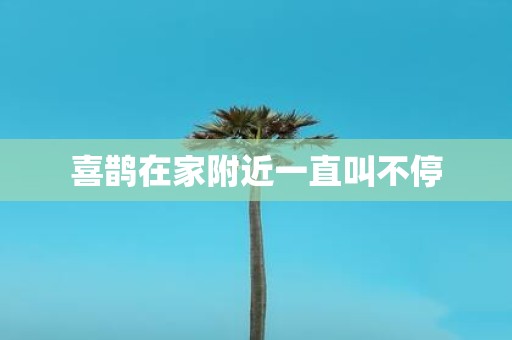 喜鹊在家附近一直叫不停