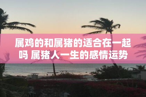 属鸡的和属猪的适合在一起吗 属猪人一生的感情运势如何