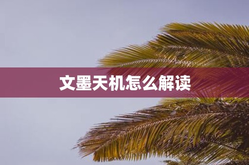 文墨天机怎么解读