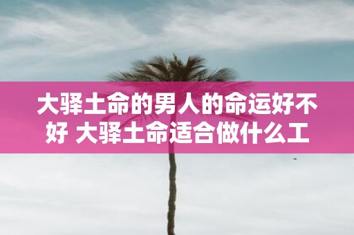 大驿土命的男人的命运好不好 大驿土命适合做什么工作