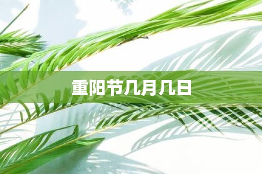 重阳节几月几日