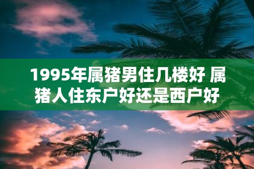 1995年属猪男住几楼好 属猪人住东户好还是西户好