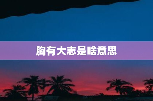 胸有大志是啥意思