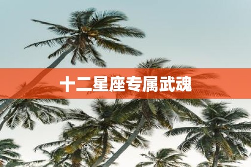 十二星座专属武魂