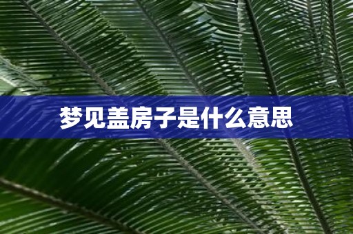 梦见盖房子是什么意思