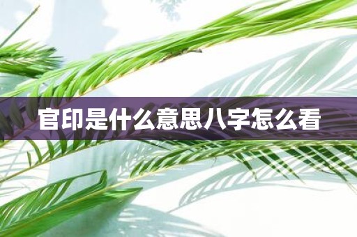 官印是什么意思八字怎么看