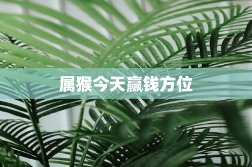 属猴今天赢钱方位