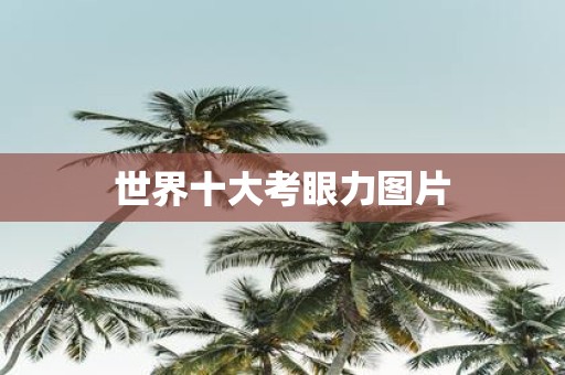 世界十大考眼力图片